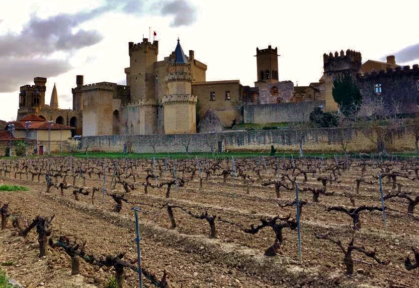 Castillo-de-Olite-Erriberri